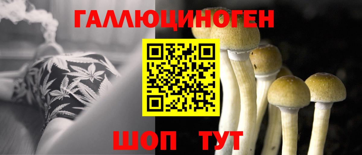 Псилоцибиновые грибы Magic Shrooms Димитровград